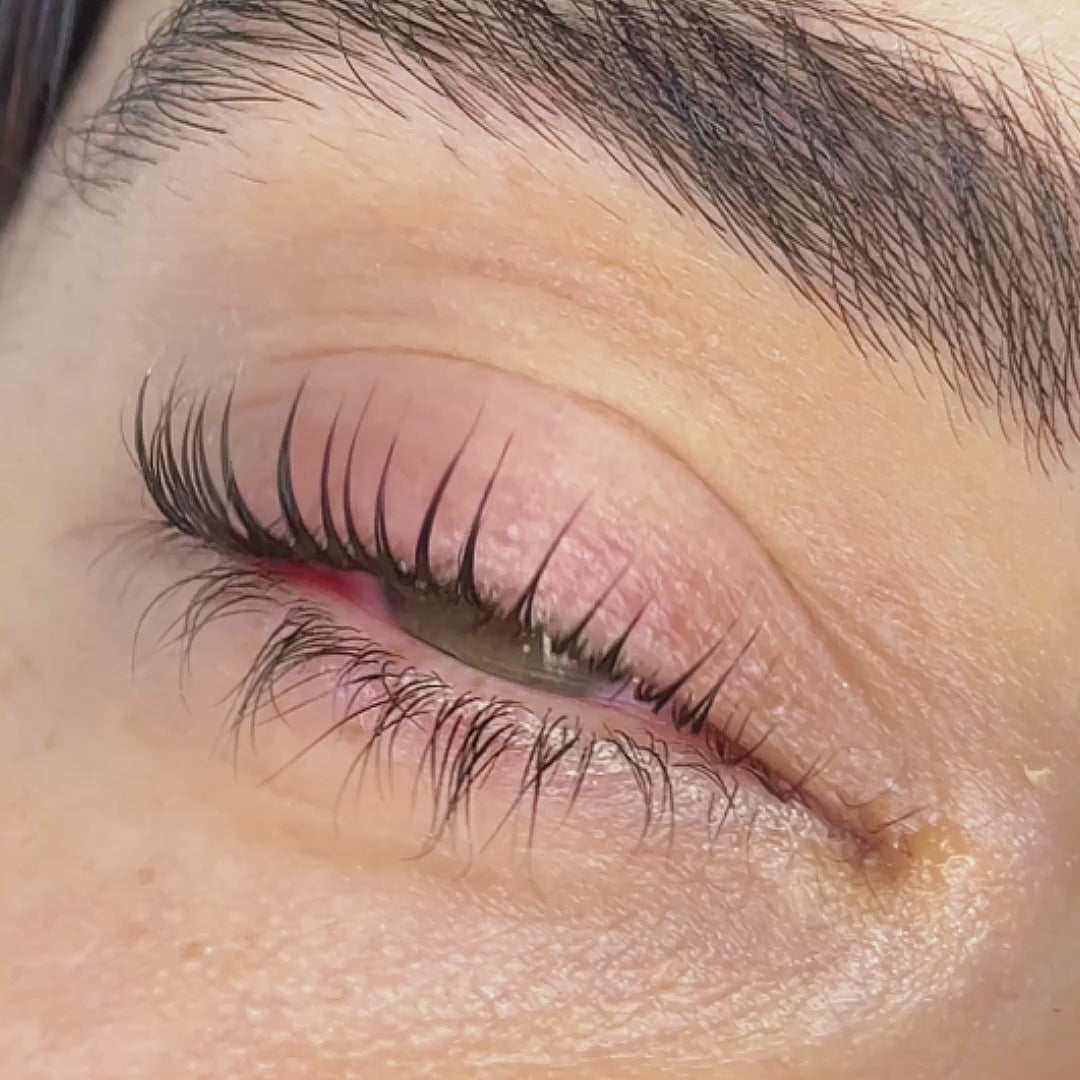 Ultimate Lash Lifting Shields