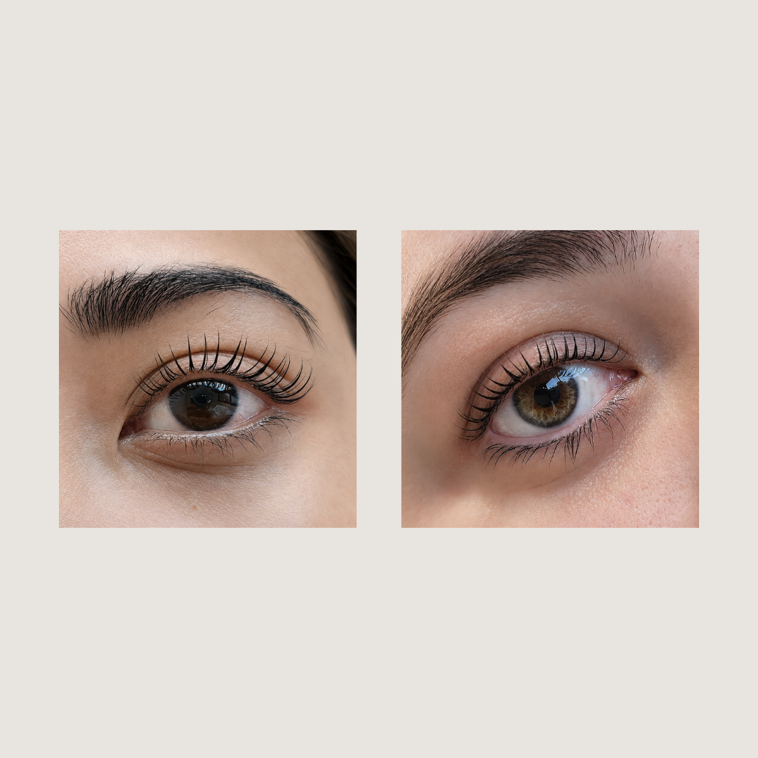 C curl Lash Lifting Shields