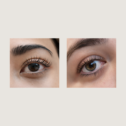 C curl Lash Lifting Shields