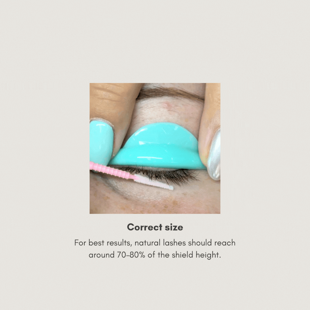 Extreme Lash Lifting Shield