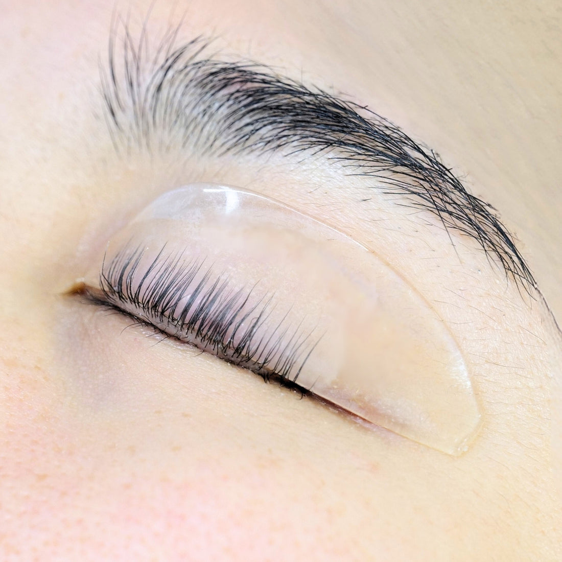 Jelly Flat Korean Lash Lifting Shields on Eye