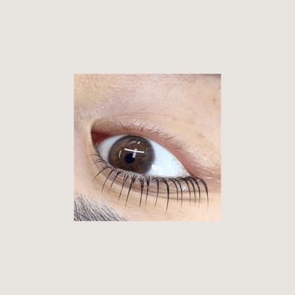 UltraLift Lash Lifting Shields