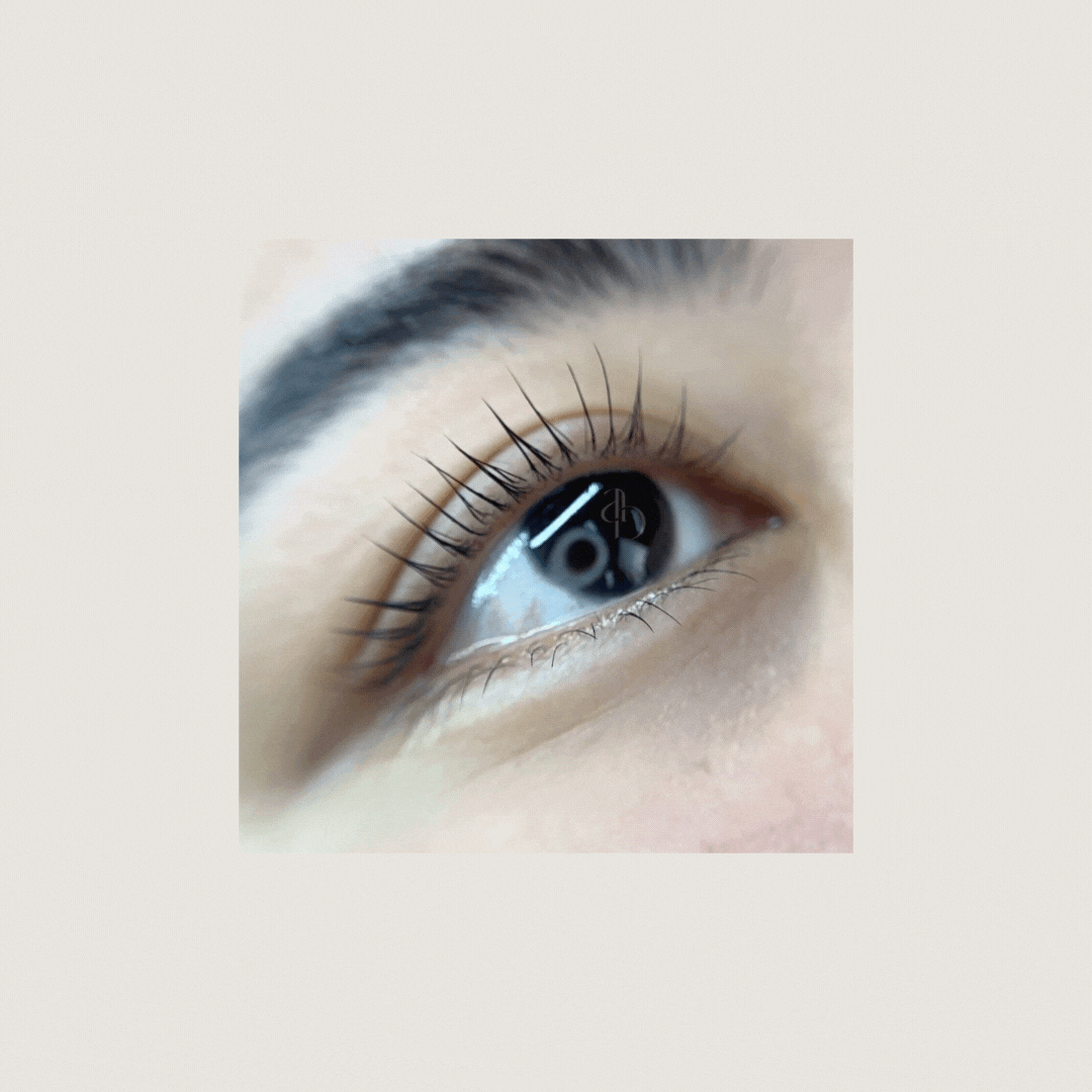 V Curl Lash Lifting Shields