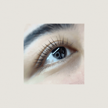 V Curl Lash Lifting Shields