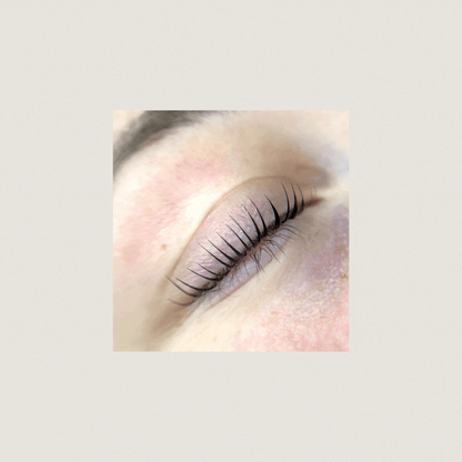 V Curl Lash Lifting Shields