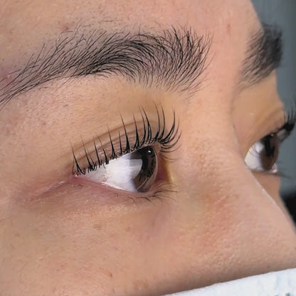 UltraLift Lash Lifting Shields